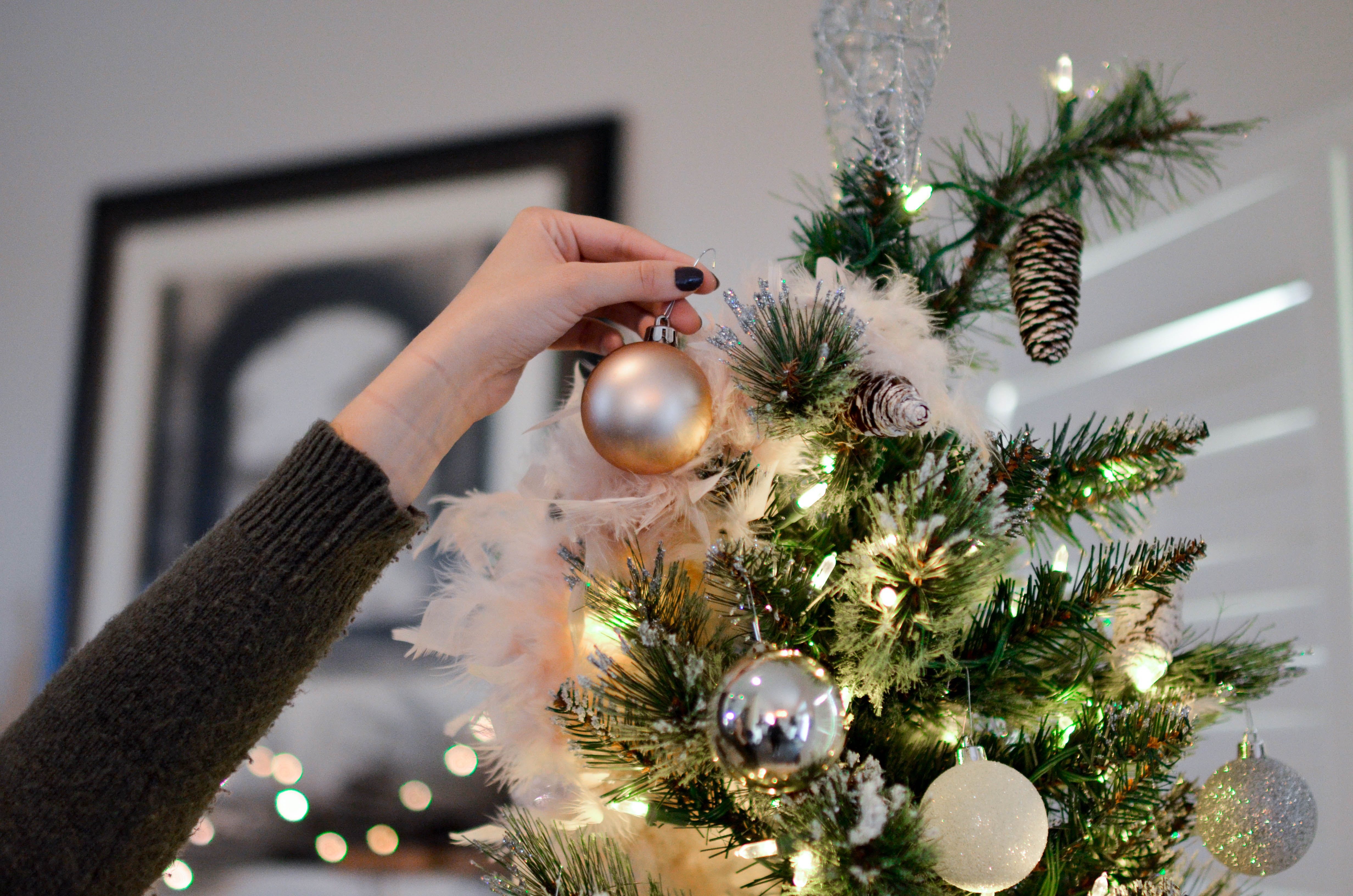 Holiday storage