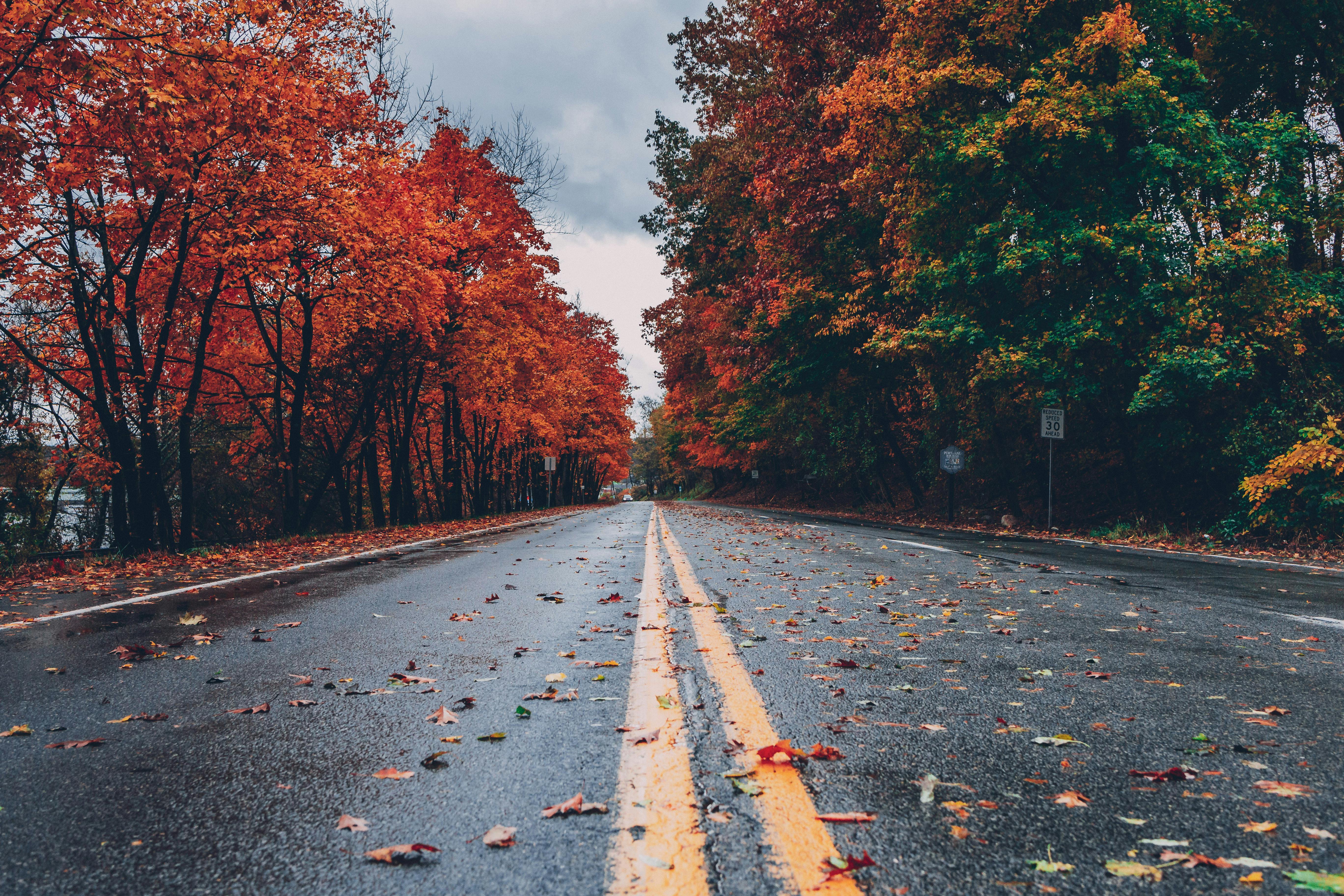 fall storage