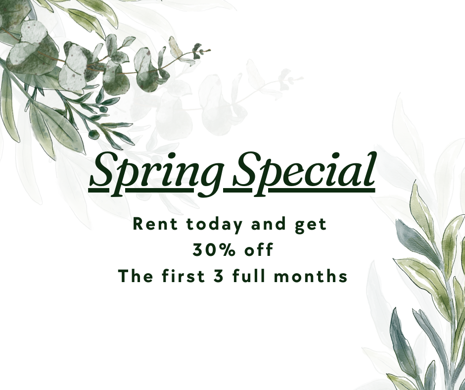 Spring Special - Sam