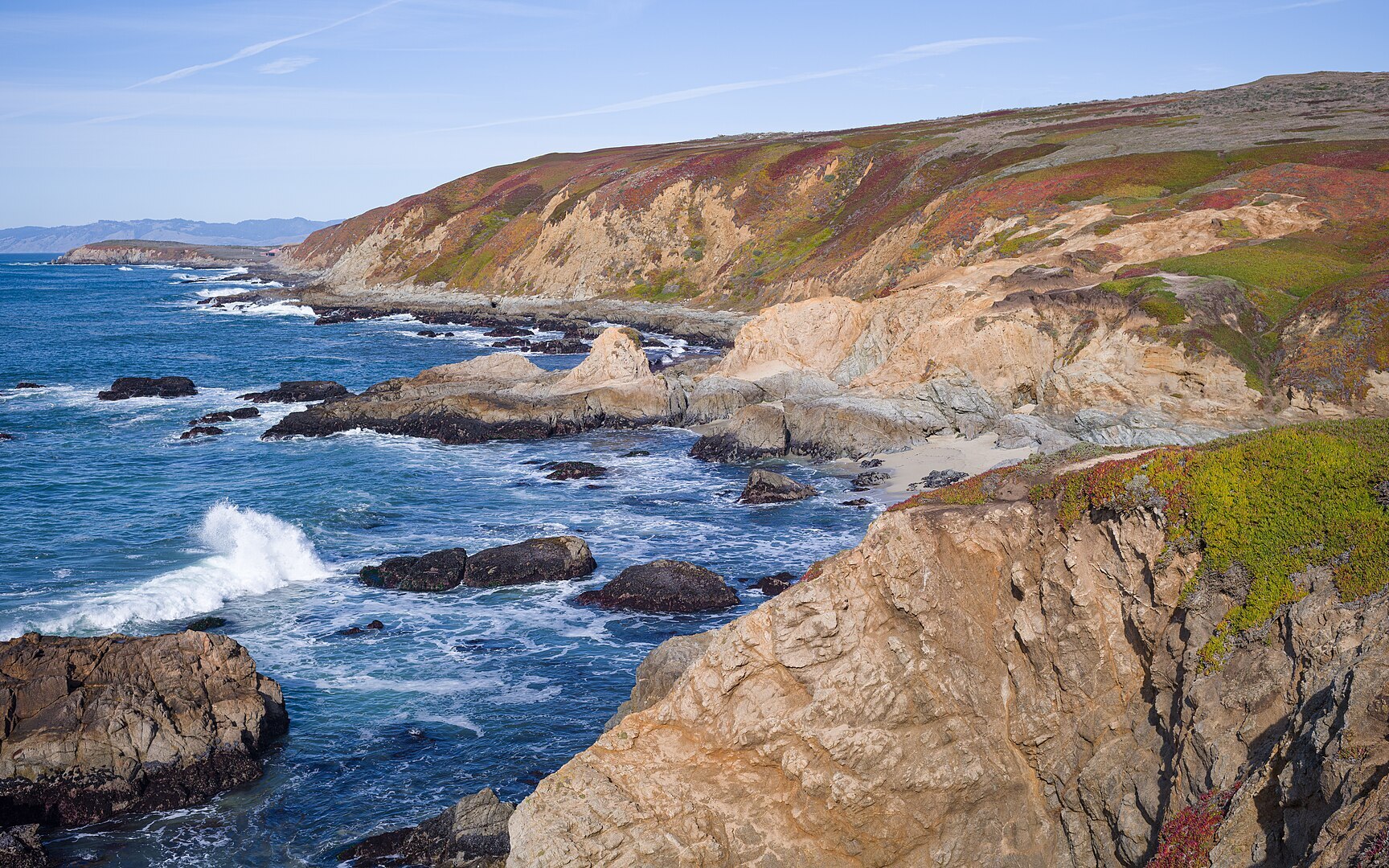 Bodega Head in Sonoma California on the coast