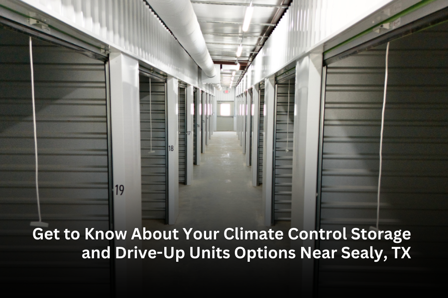 Sealy Columbus Cat Spring TX Climate Control storage units