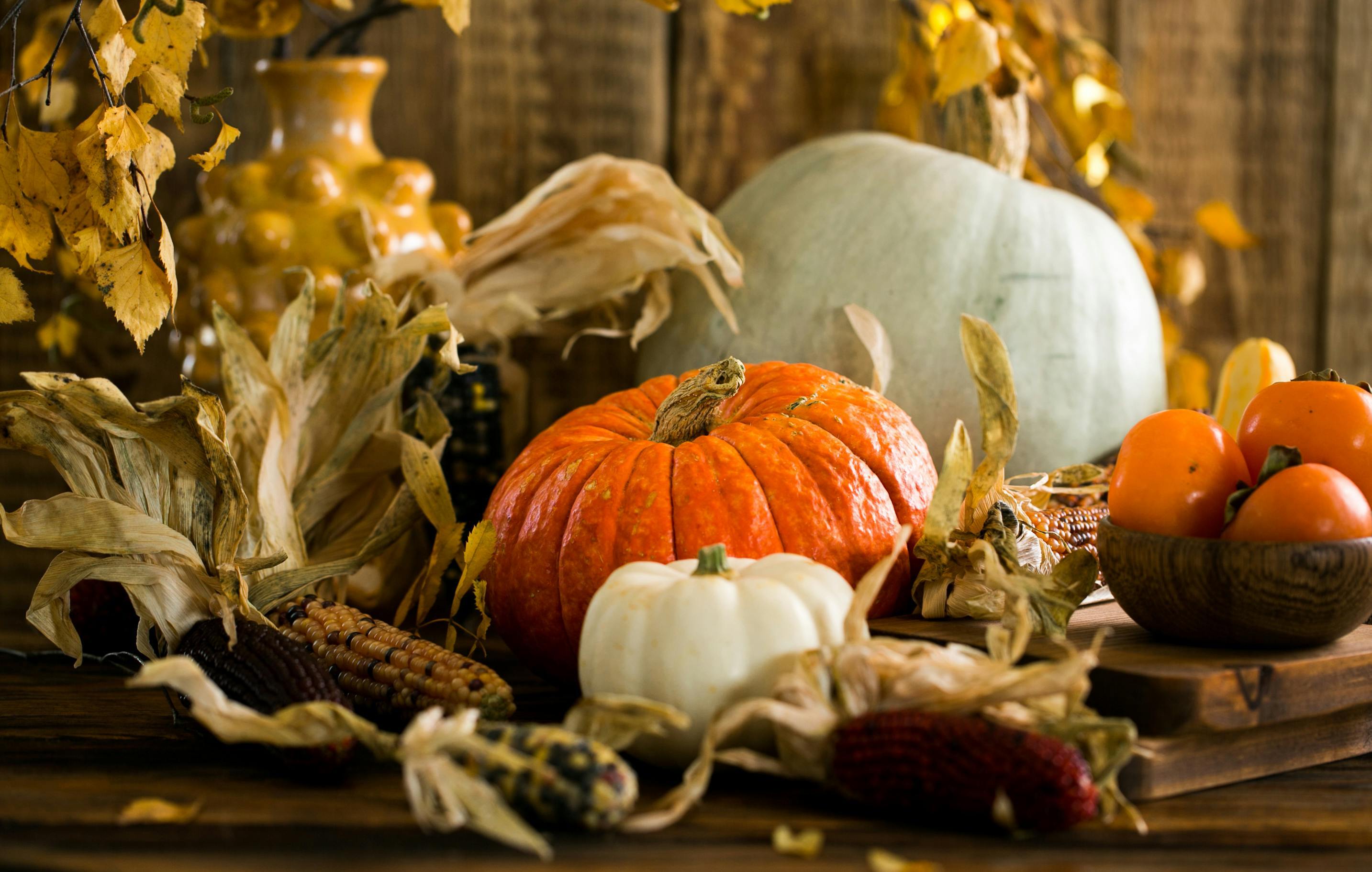 Image of pumpkins for blog post 
