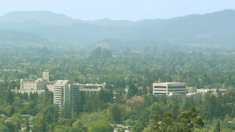 A scenic view of Santa Rosa, California, showing downtown buildings surrounded by trees and greenery with rolling hills and mountains in the background.