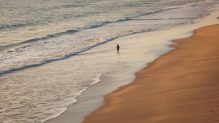 Person walking along a wide sandy beach at sunset, with waves gently rolling in and reflecting warm golden light. Person walking along a wide sandy beach at sunset, with waves gently rolling in and reflecting warm golden light.