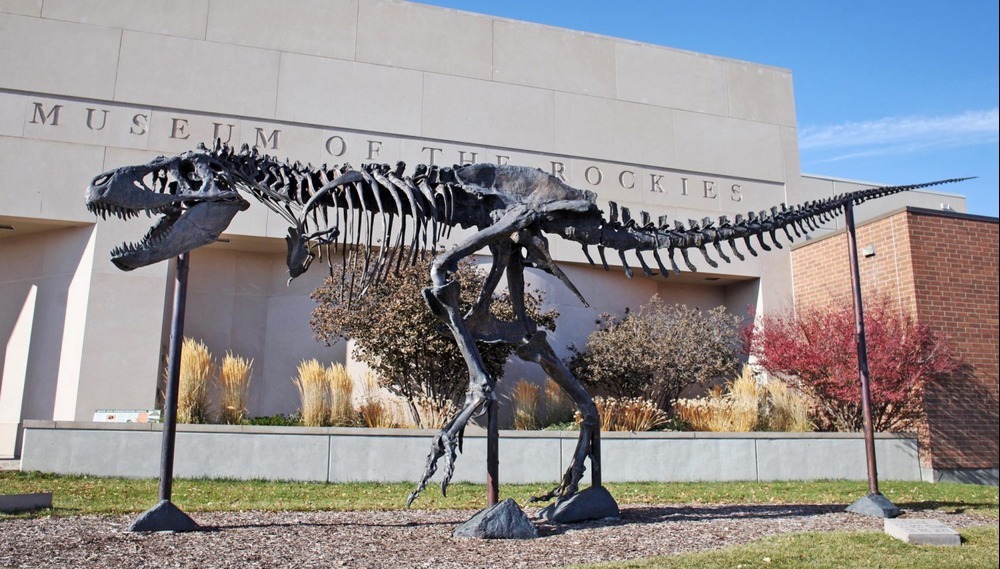 Museum of the Rockies in Bozeman