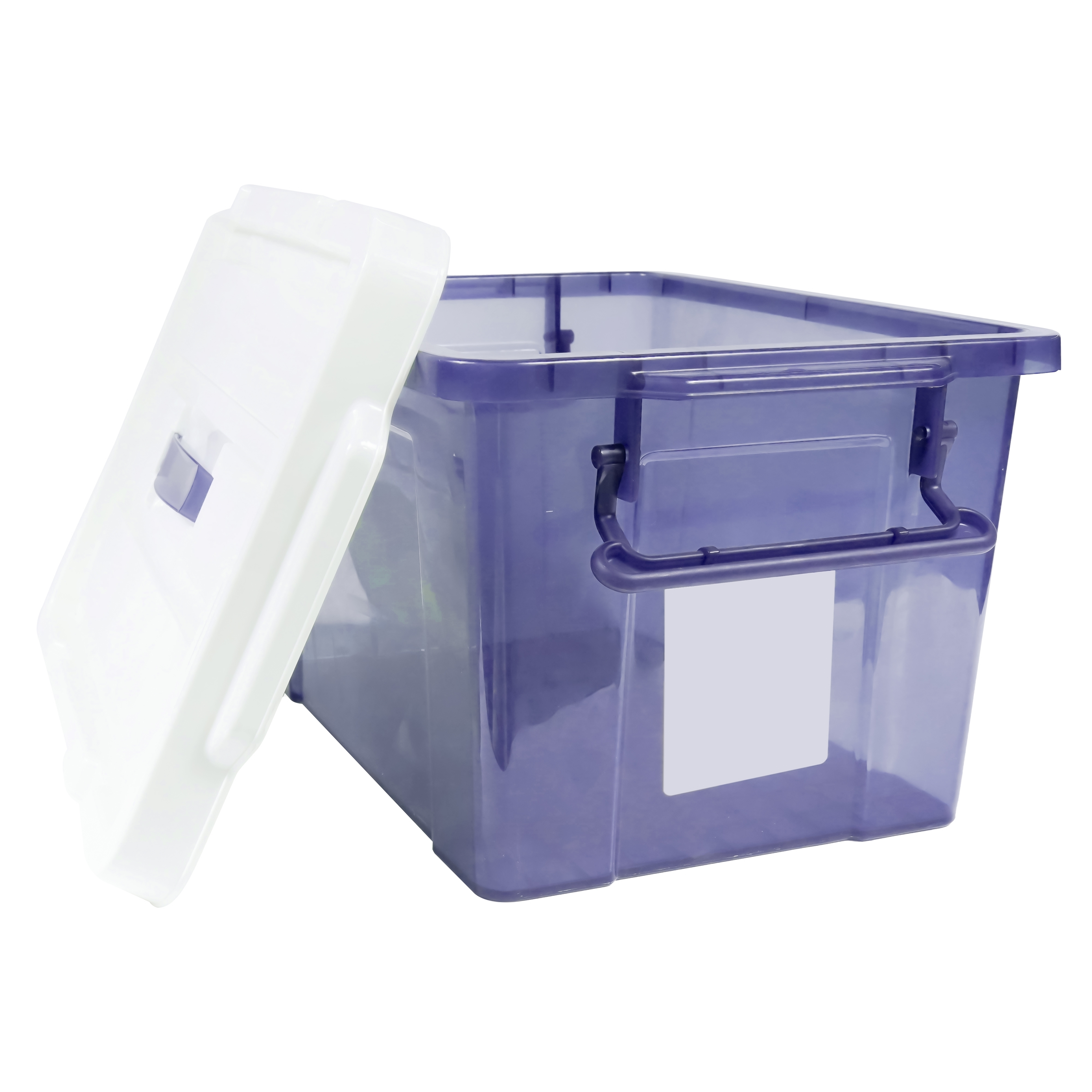 Storage tote with lid