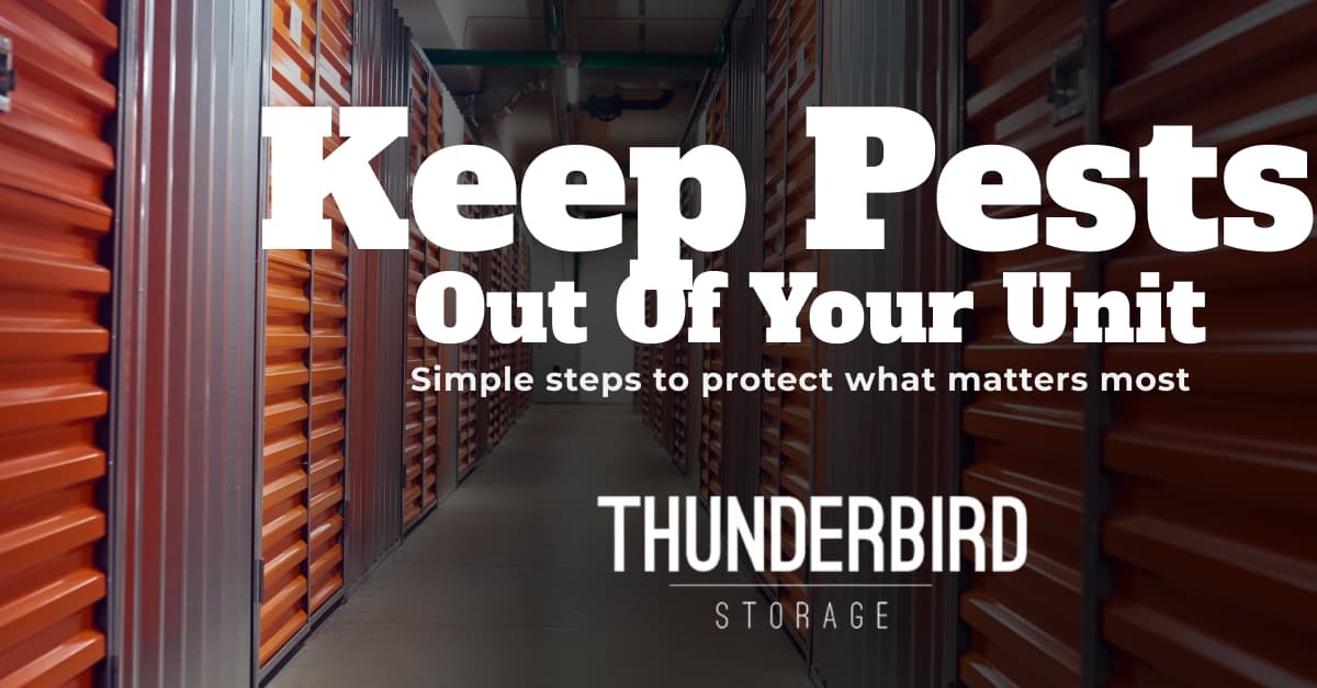 A rows of pests free storage unit by Thunderbird in Cedar City