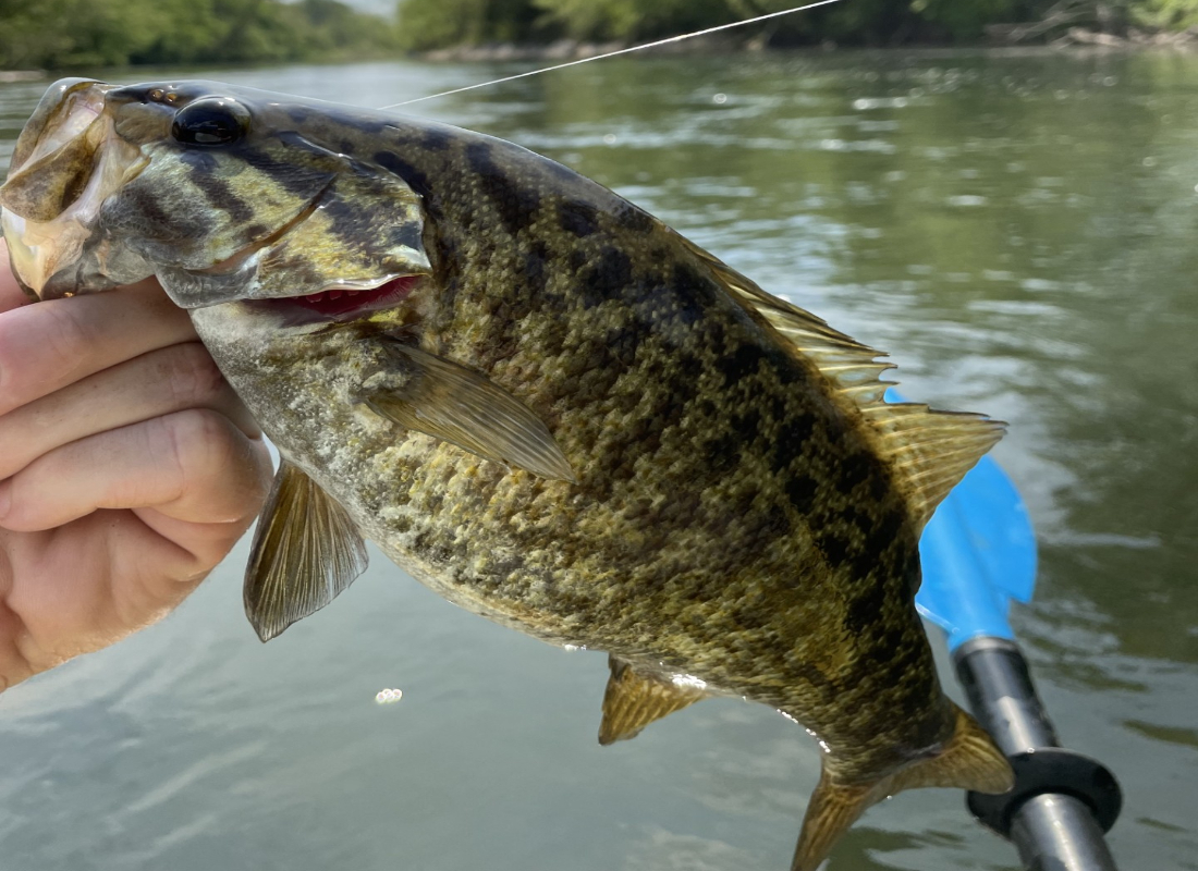 Fishing on the Nolichucky River in East Tennessee surrounded by scenic mountain views