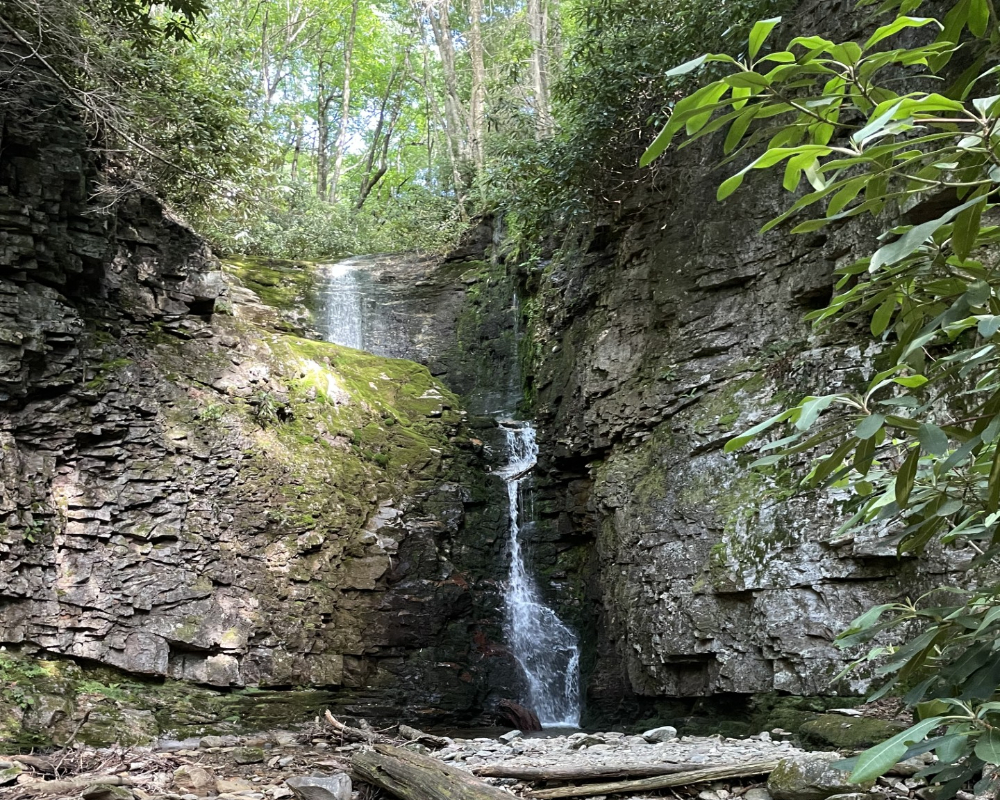 Waterfall near Erwin Tennessee surrounded by forest scenery