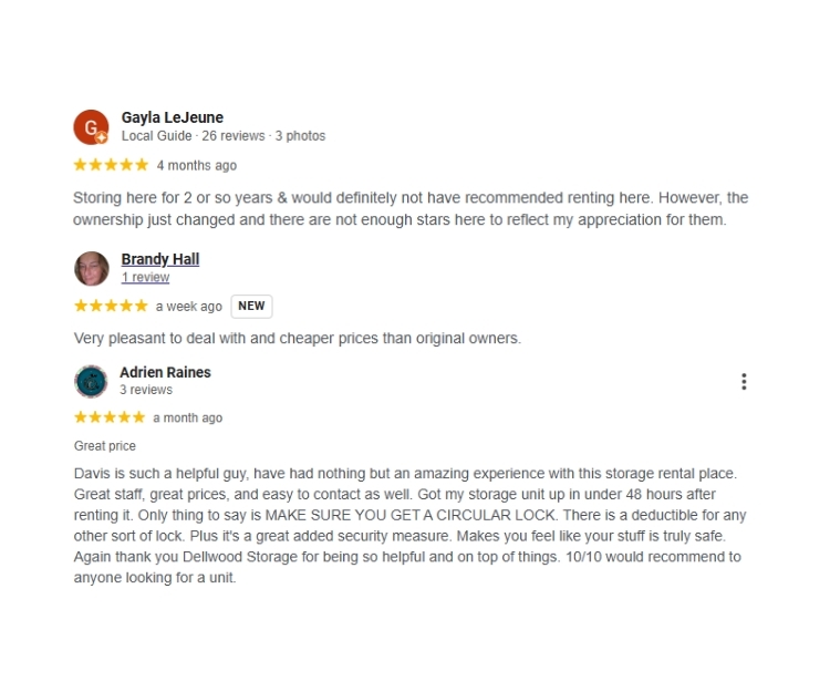 Google reviews for Dellwood Storage in Waynesville, NC showing customer ratings, comments, and feedback about the storage facility’s cleanliness, security, and customer service.