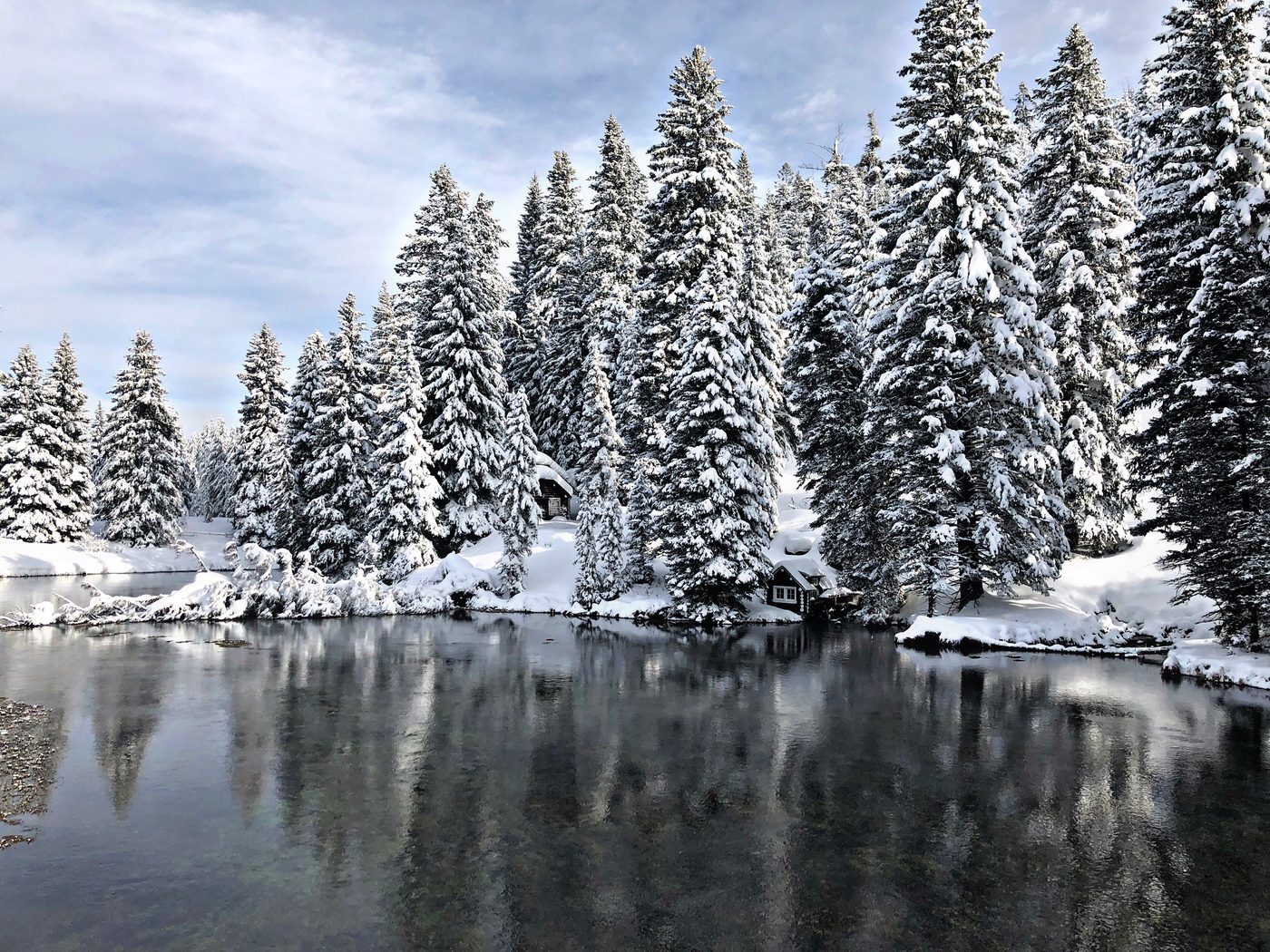 Snowy river and cabins in Island Park, Idaho in winter Snowy pines and cabins along a river in Island Park, Idaho