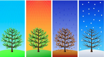 Blog image of trees going through seasons