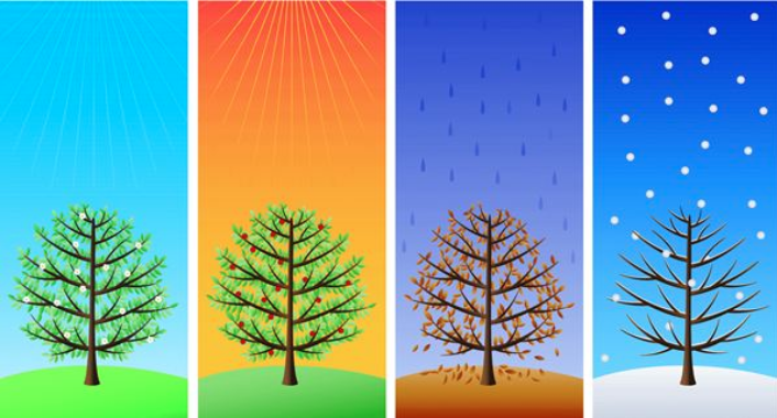 Blog image of trees going through seasons