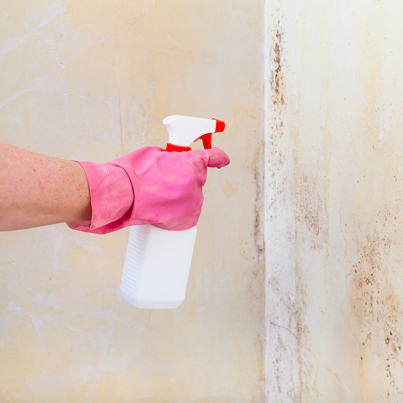 climate control storage prevents mold